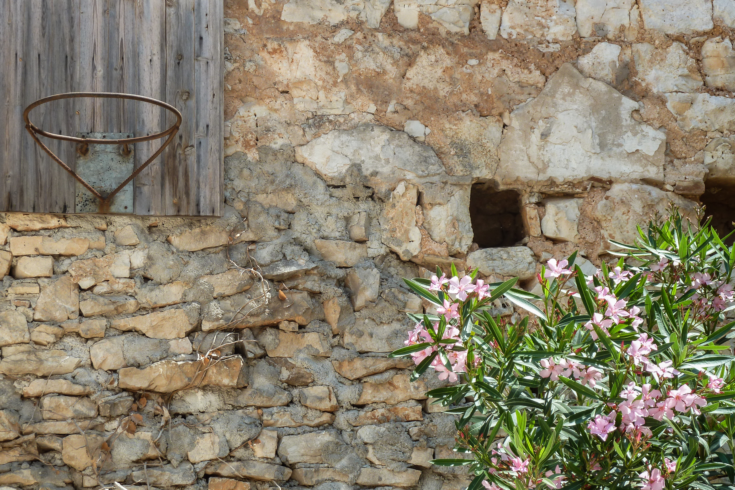 Alte Steinmauer mit Oleander – Detail aus Bale